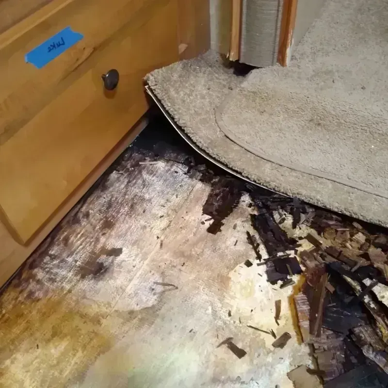 Wood Floor Water Damage in Ketchikan, AK